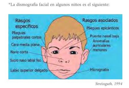 Promoción de la salud en Personas con SAF/TEAF