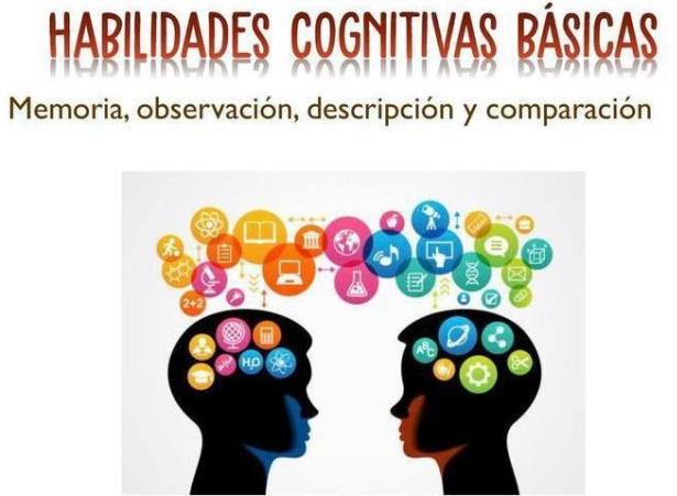 Proyecto de investigación de enfermedades neuromusculares
