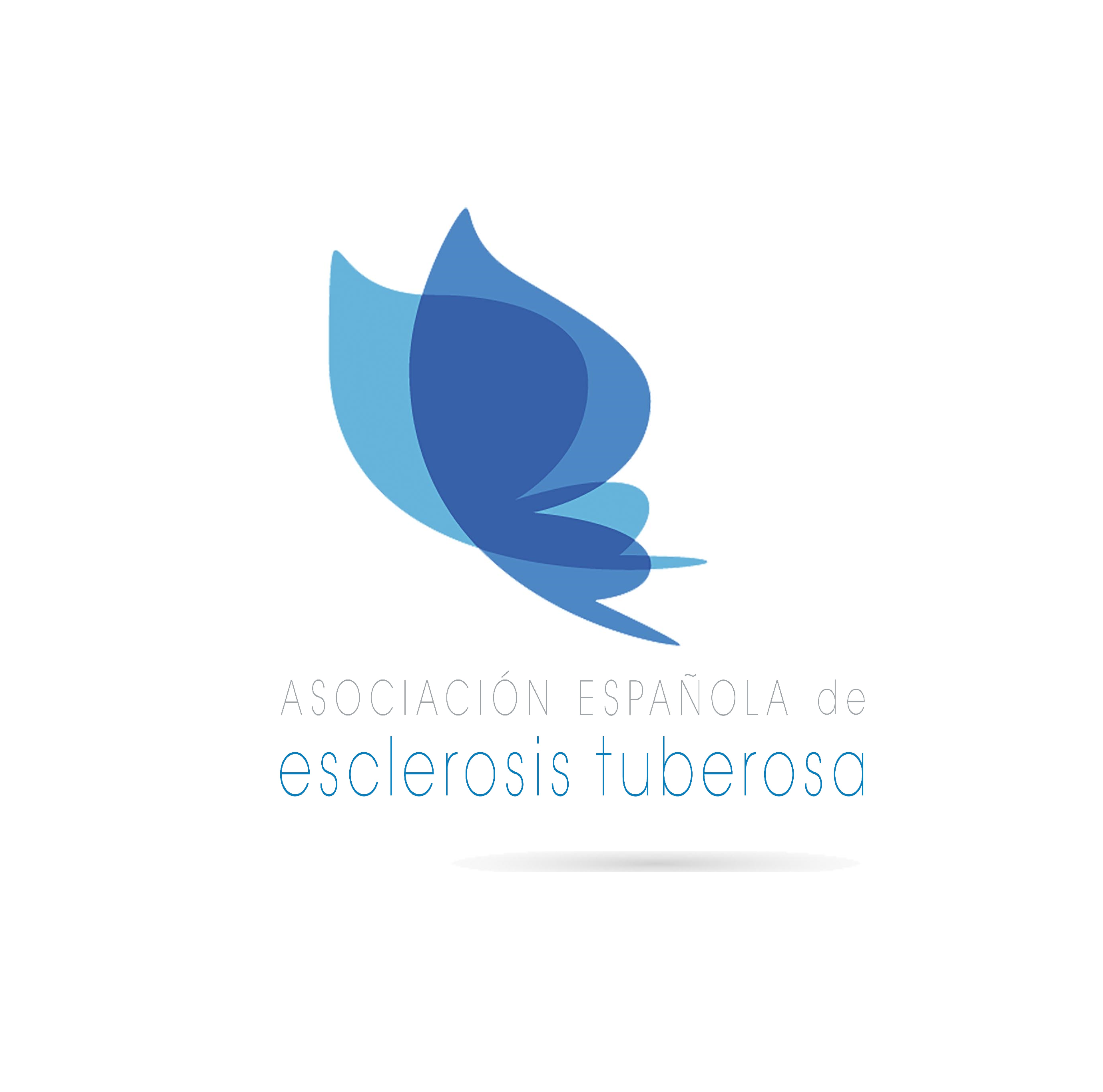 Proyecto de terapia ocupacional para niños y jóvenes diagnosticados de Esclerosis Tuberosa