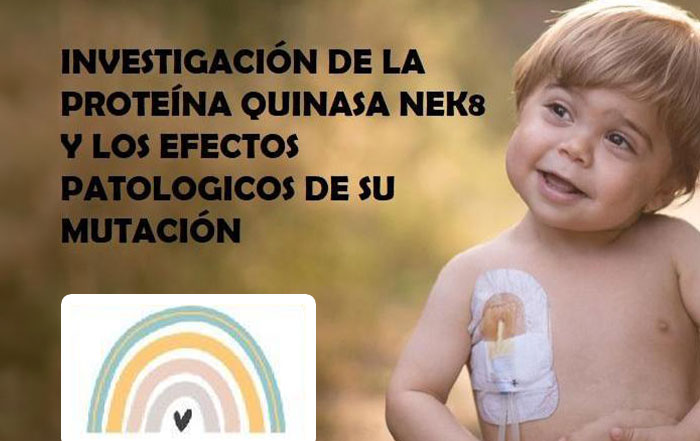 Proyecto de investigación de la proteína quinasa NEK8 y los efectos patológicos de su mutación